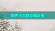 国内十大自行车品牌