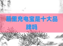 慕里充电宝是十大品牌吗