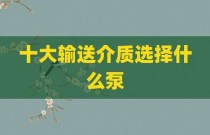 十大输送介质选择什么泵