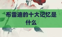 布雷迪的十大记忆是什么