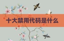 十大禁用代码是什么
