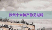 苏州十大特产你见过吗