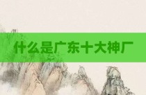 什么是广东十大神厂