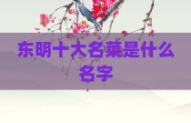 东明十大名菜是什么名字