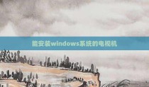 能安装windows系统的电视机
