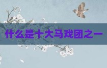 什么是十大马戏团之一