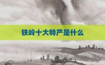 铁岭十大特产是什么
