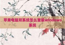 苹果电脑双系统怎么重装windows系统