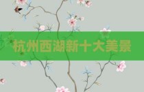 杭州西湖新十大美景
