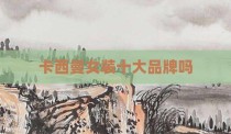 卡西曼女装十大品牌吗