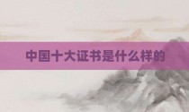 中国十大证书是什么样的