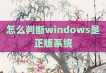 怎么判断windows是正版系统