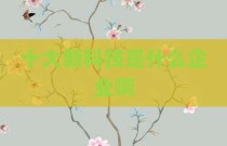 十大新科技是什么企业啊