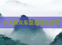 十大最火车型是什么车子