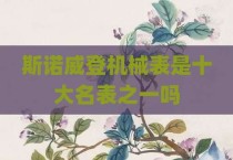 斯诺威登机械表是十大名表之一吗