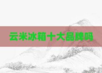 云米冰箱十大品牌吗