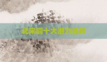 北宋铜十大潜力品种