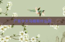 广东十大马桶有什么好