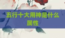 五行十大用神是什么属性