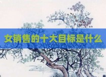 女销售的十大目标是什么