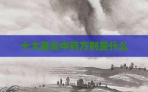 十大鼻炎中药方剂是什么