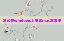 怎么在windows上安装mac双系统