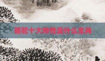 骆驼十大特性是什么生肖