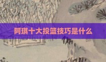 阿琪十大投篮技巧是什么