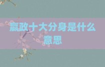 嬴政十大分身是什么意思