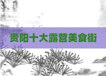 贵阳十大露营美食街