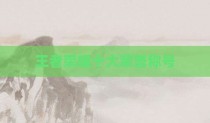 王者荣耀十大荣誉称号