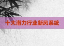 十大潜力行业新风系统