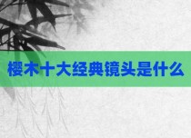 樱木十大经典镜头是什么