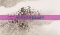 什么叫十大排名企业名称