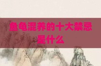 鱼龟混养的十大禁忌是什么