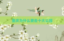 重庆为什么要去十大公园