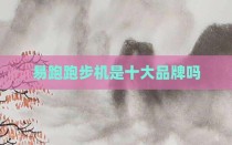 易跑跑步机是十大品牌吗