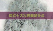 网红十大火热曲是什么
