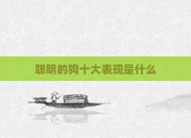 聪明的狗十大表现是什么