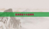 美涂漆是十大品牌吗