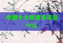 中国十大救援事项是什么