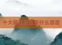 十大网红原名是什么意思