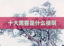 十大黑客是什么梗啊