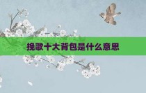 挽歌十大背包是什么意思