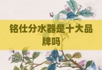 铭仕分水器是十大品牌吗