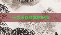 十大运营商哪家好点