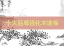 十大品牌强化木地板