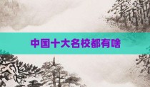 中国十大名校都有啥