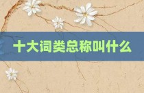 十大词类总称叫什么