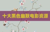 十大黑色幽默电影资源